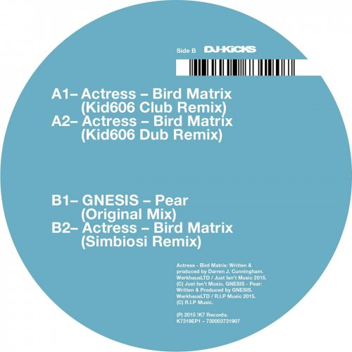 Bird Matrix (Remixes)