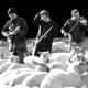 The Bad Shepherds passen meerdere jassen