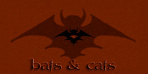 Bats & Cats: donkere en mysterieuze geluiden